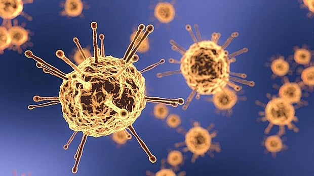 Dashboard to help Commonwealth nations tackle coronavirus