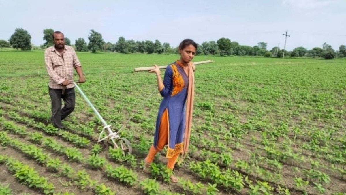 Families in penury, Mother India’s daughters pull ploughs in the fields of MP