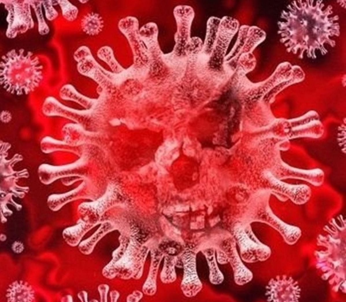 COVID-19 existed worldwide before emerging in China: Oxford expert