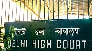 Contempt plea in Delhi HC against govt for not publishing draft EIA in 22 Indian languages