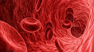 Blood test may point to patients at higher risk for COVID-19 death