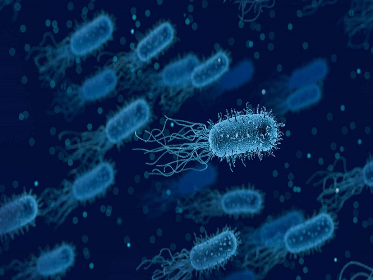 Bacteria could survive journey to Mars, suggests new study