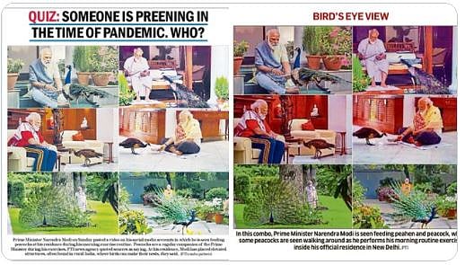 The PM feeding peacocks: Instagram video invites comparison with Nero and Marie Antoinett