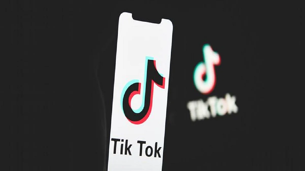 TikTok says it has 700 million monthly users globally, 100 million in US