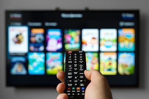 OTT platform brought several theatre actors and small-budget film actors under spotlight in 2020