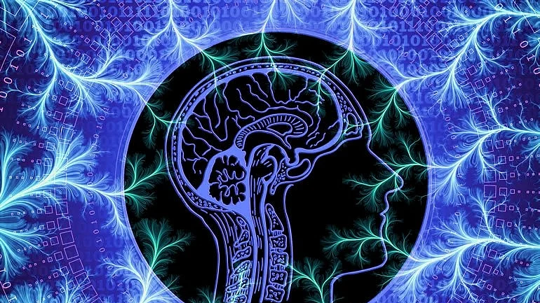 Researchers find gene that regulates man’s sexual desire