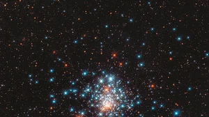 New Hubble image shows colourful stars packed close together