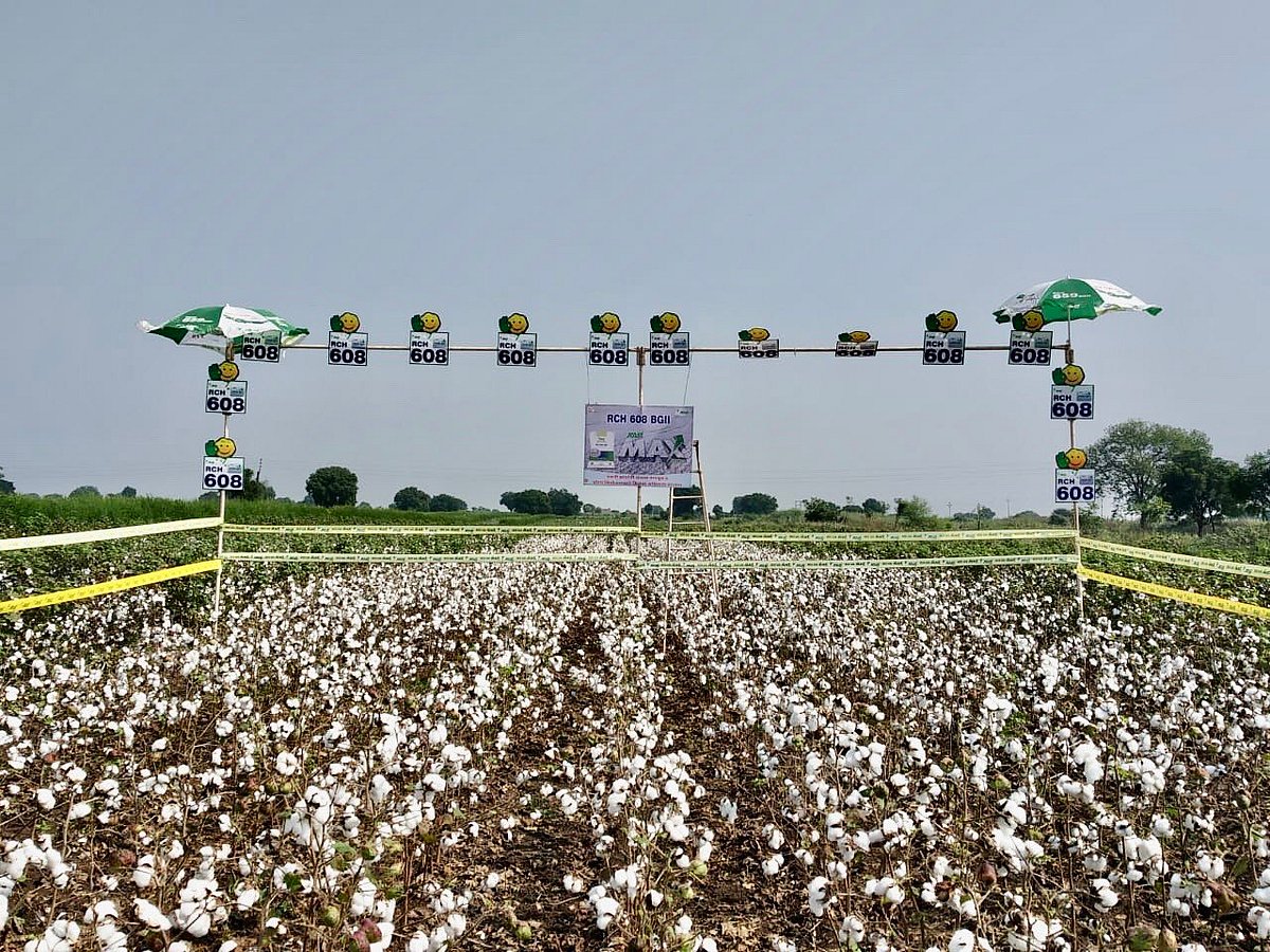 ‘Stop false narrative of Bt cotton success, promote desi varieties’