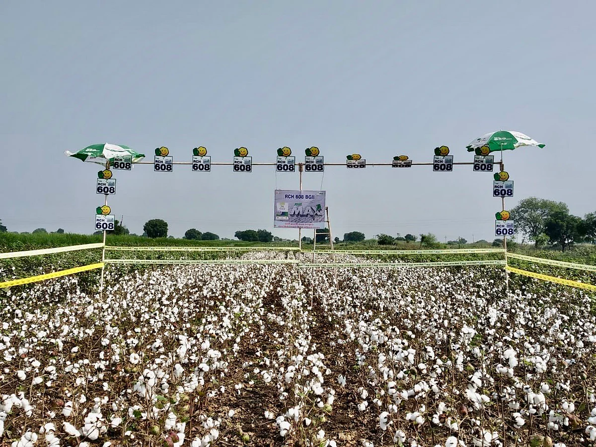 ‘Stop false narrative of Bt cotton success, promote desi varieties’