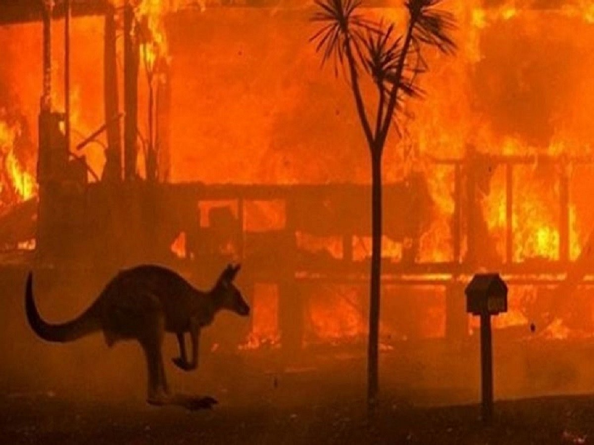 ‘Australia facing more frequent, intense natural disasters’