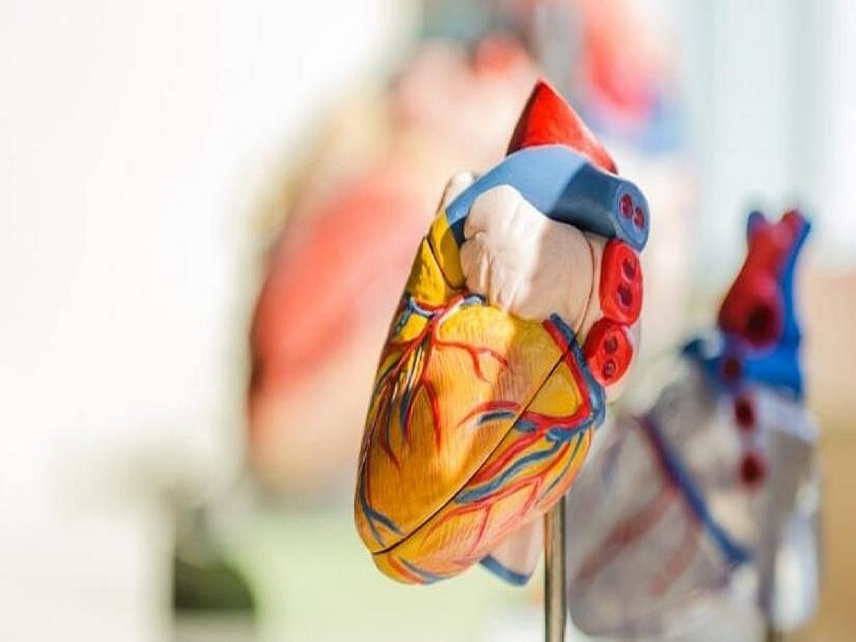 COVID phobia disrupts medical checkup of heart patients: Experts  
