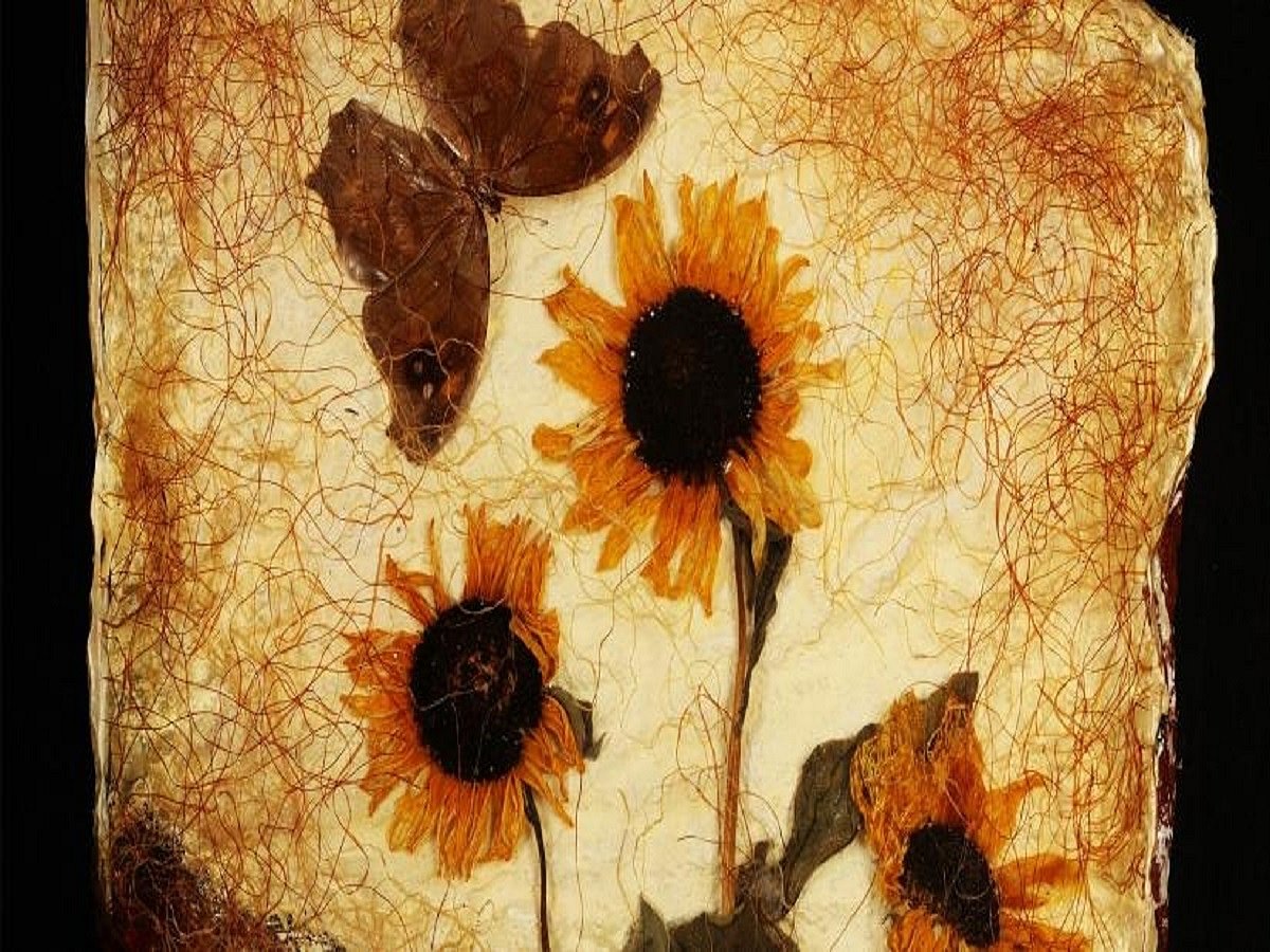 Pockets of nature, ‘paan’ stains inspire art in this show