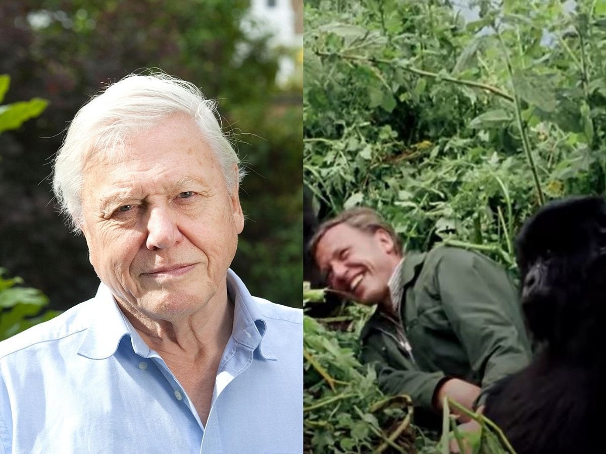 A Life on Our Planet: David Attenborough’s documentary on Netflix compelling  