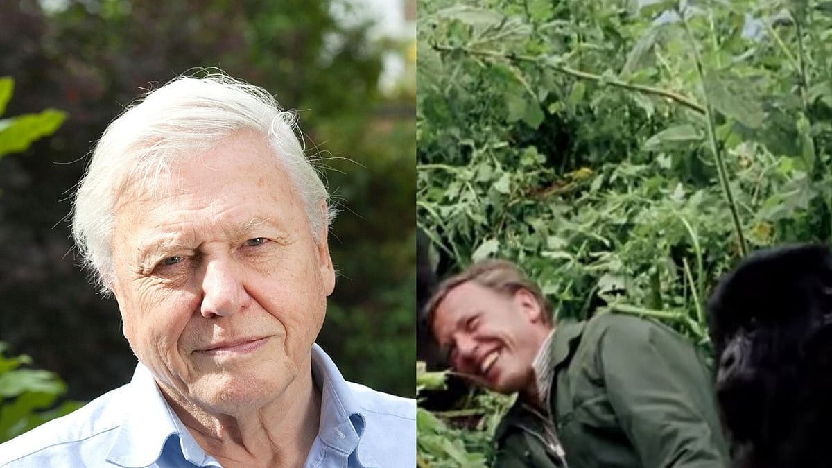 A Life on Our Planet: David Attenborough’s documentary on Netflix compelling  