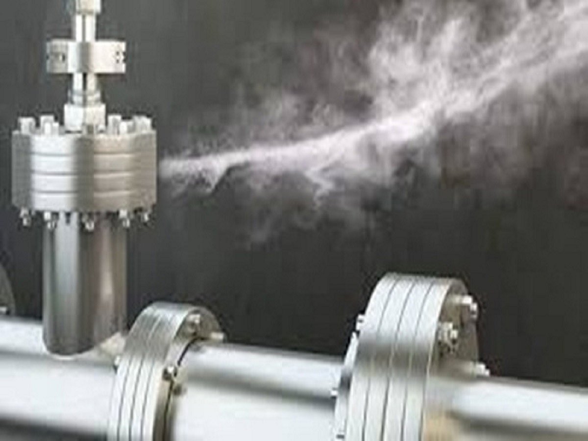 Probe ordered into fatal ammonia gas leakage at Goa factory