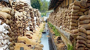 1,571 tonnes of food grains wasted between April and September due to COVID-19 lockdown