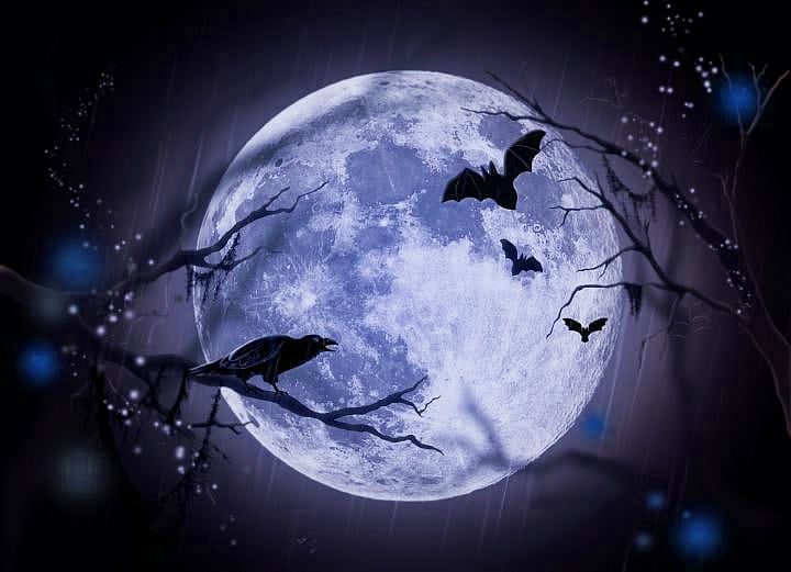 Watch the sky! October is  a Blue Moon month!