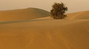 Unbelievable! ‘Lost’ river that ran through Thar Desert 172,000 years ago found