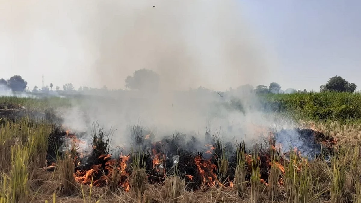 Photo Courtesy: IANS