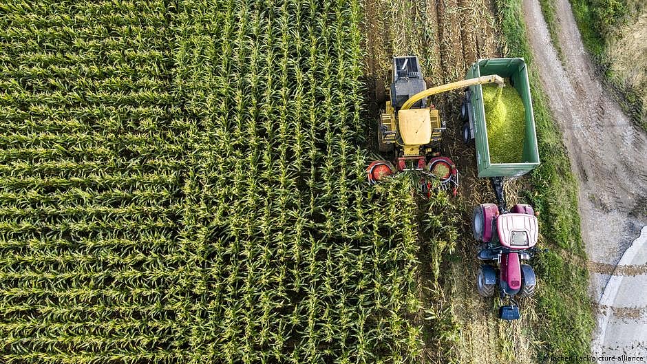 Representative photo