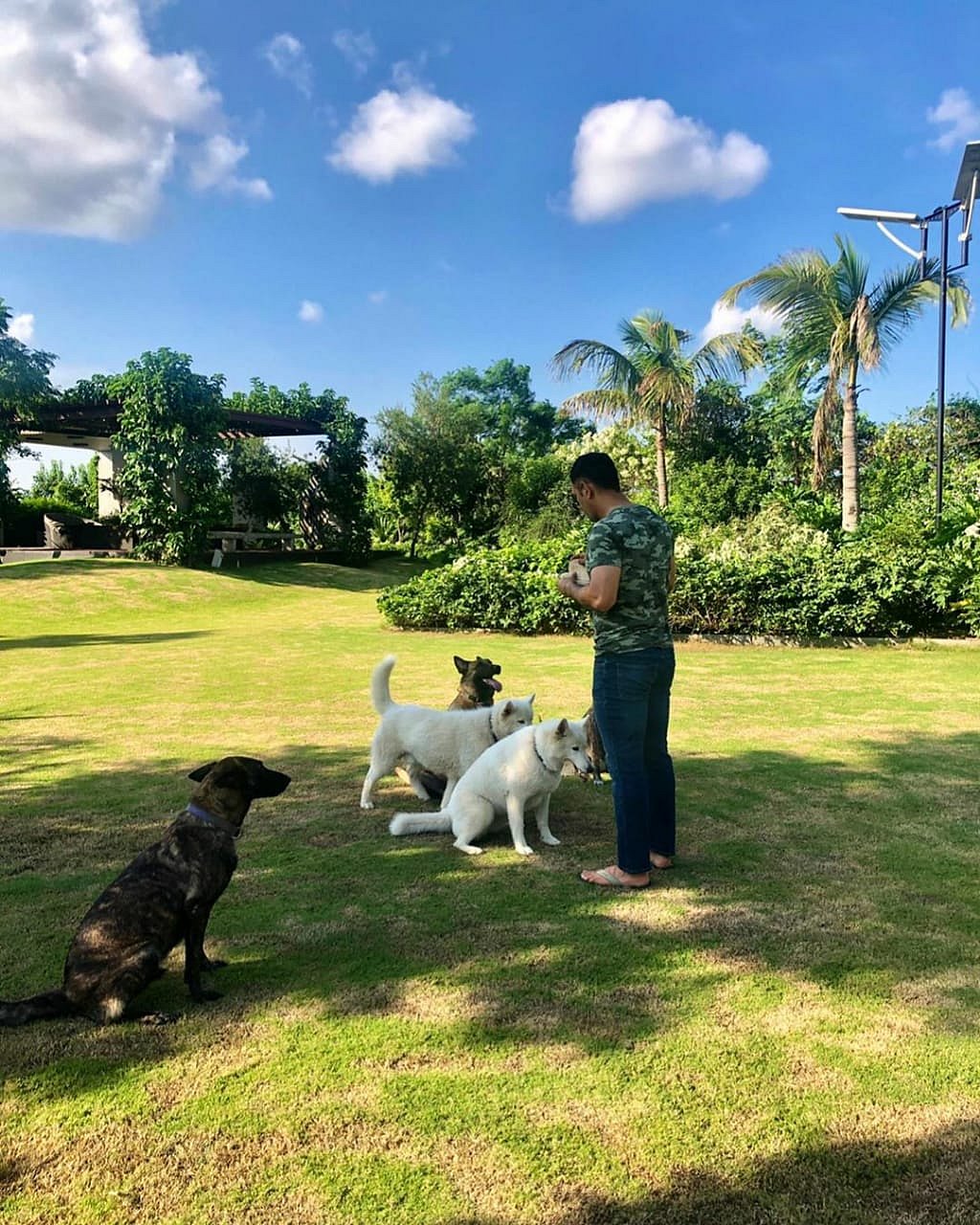 Security beefed up at Dhoni’s farmhouse in Ranchi following threats to daughter
