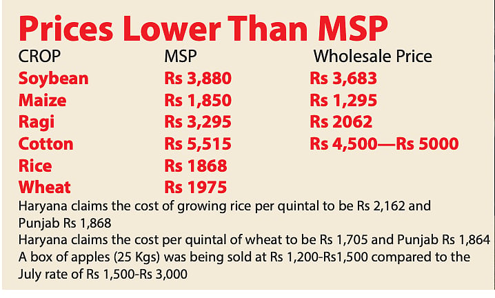 Farmers: If private sector is ready to pay prices higher than MSP, why not make this floor price mandatory ?