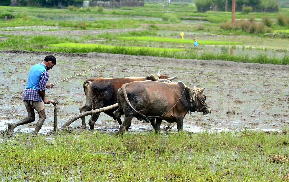 Severe hit for farmers: Agriculture loans not part of government’s interest waiver scheme  
