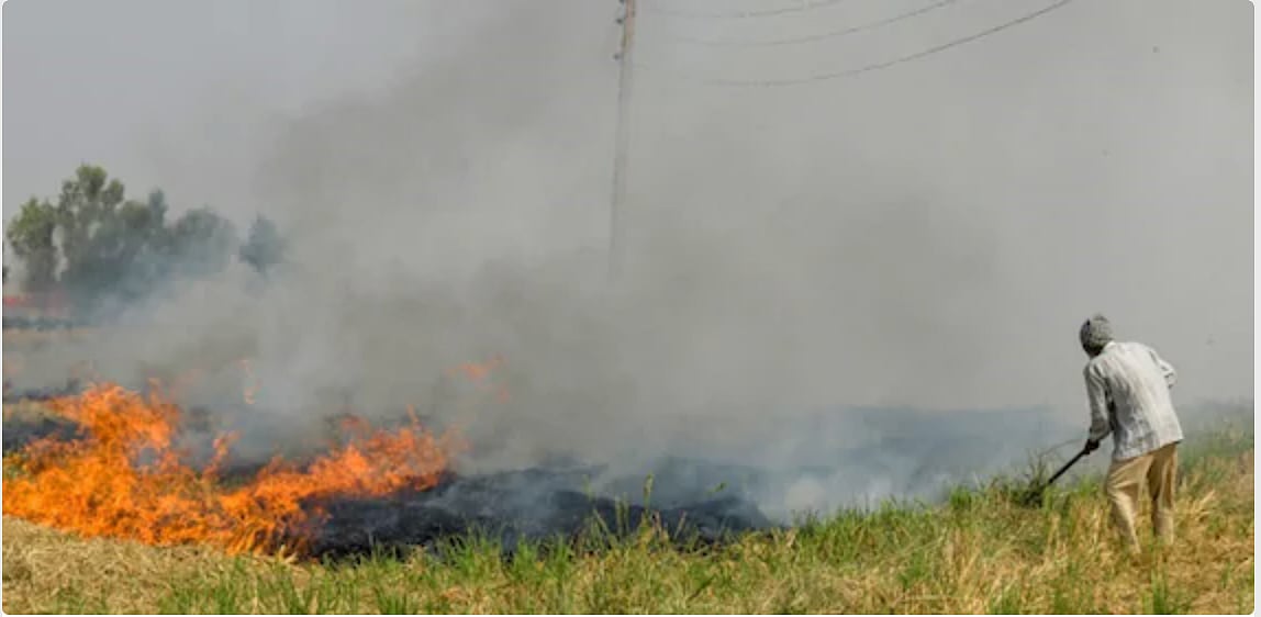 Stubble burning: Maximum cases in Punjab; anger over farm bills among major reasons
