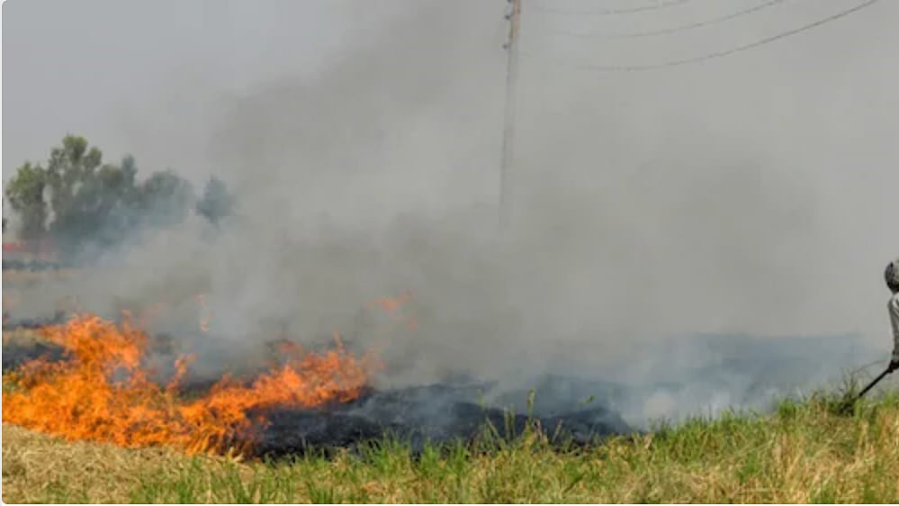 Stubble burning: Maximum cases in Punjab; anger over farm bills among major reasons