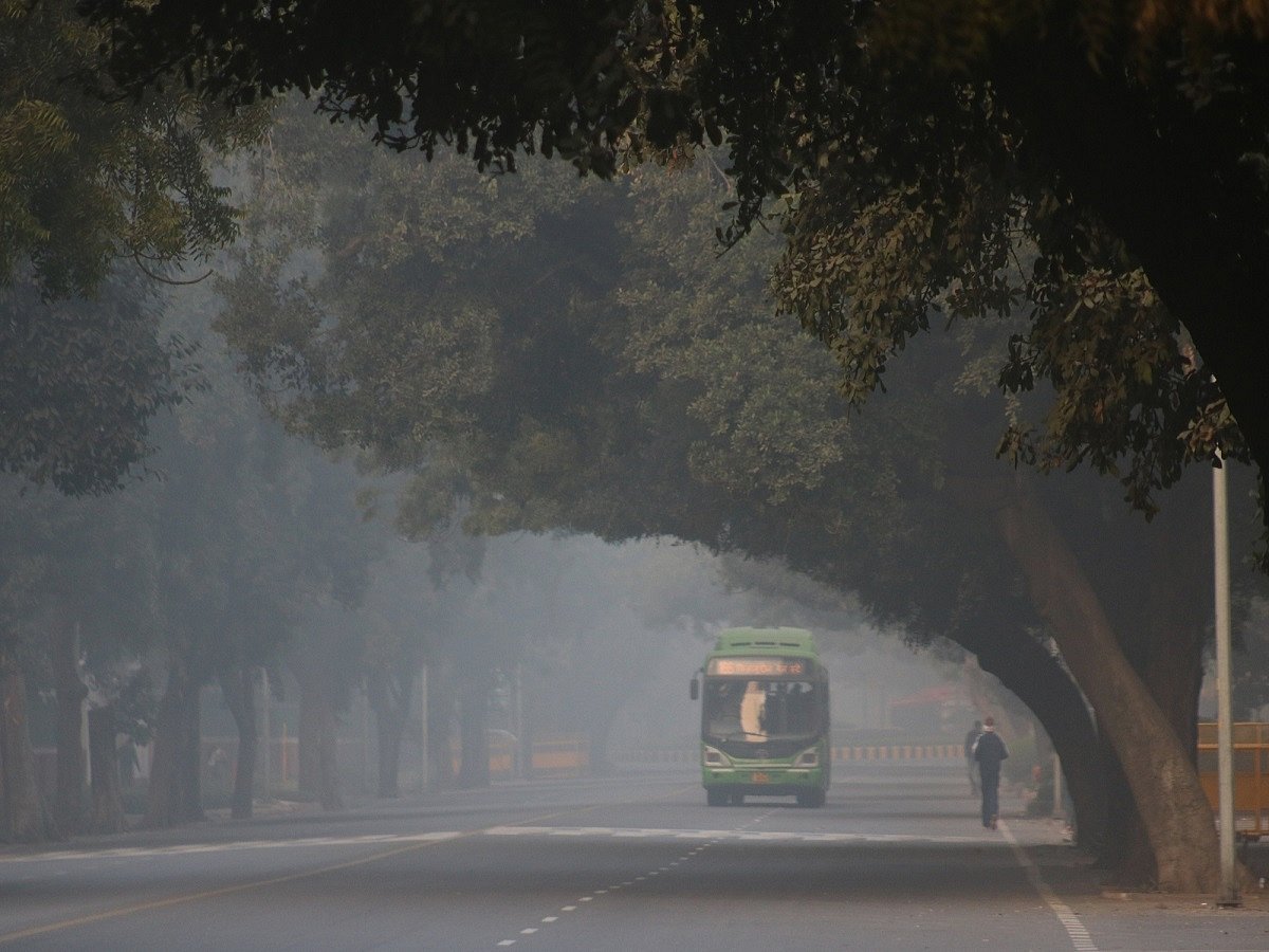 Delhi residents wake up to coldest Nov morning in 17 years  