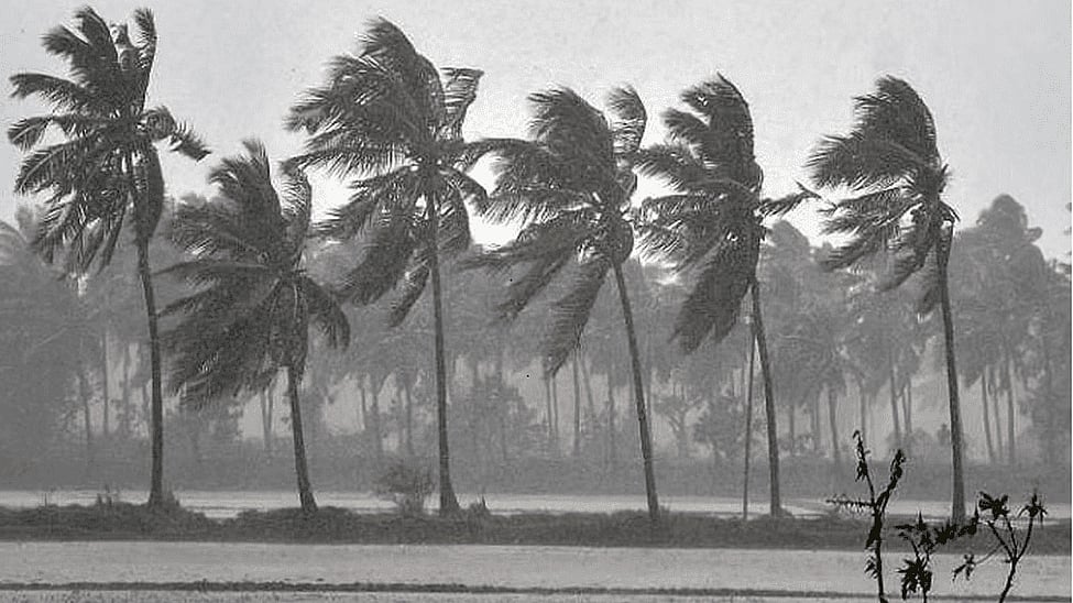 Cyclone Nivar: Prohibitory orders clamped in Puducherry to restrict movement of people  