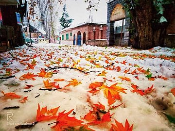 Two journalists who wrote about ground reality and what ails Kashmir should be revisited