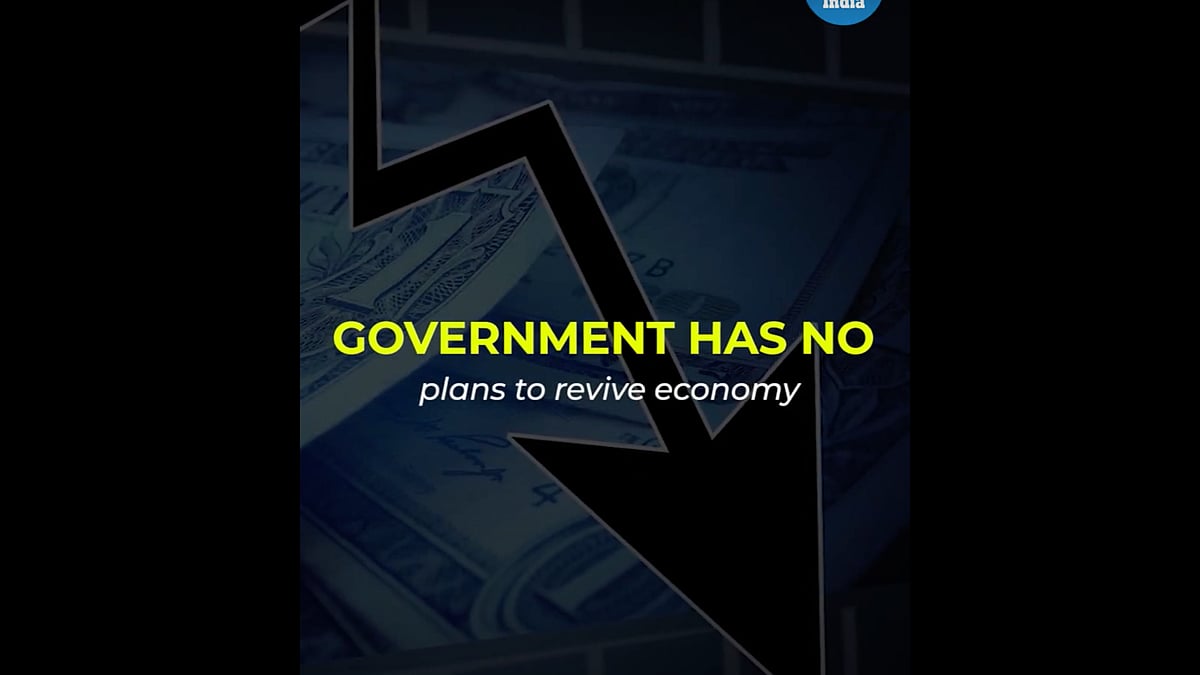 Government has no plans to revive the economy