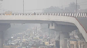 Respiratory issues and pollution: Here’s what homeopathy suggests
