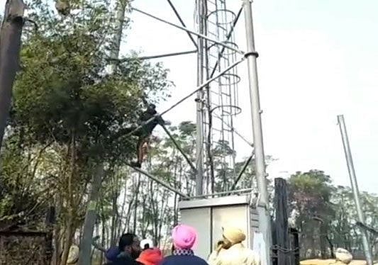 Farmers in Punjab vent anger against Reliance Jio, over 1500 towers damaged so far