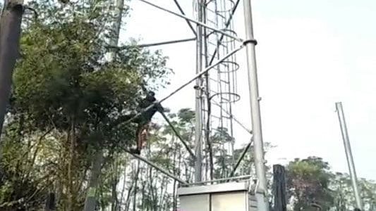 Farmers in Punjab vent anger against Reliance Jio, over 1500 towers damaged so far