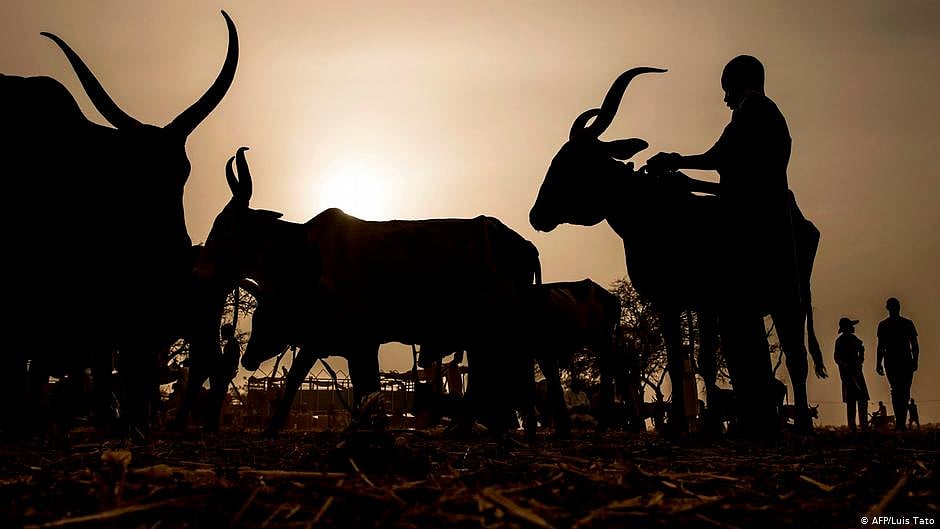 Bhopal man assaulted by cow vigilantes recalls ordeal before succumbing to injuries