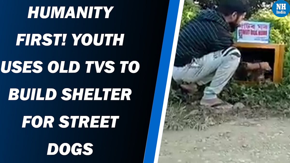 Humanity First! Youth uses old TVs to build a shelter for street dogs 