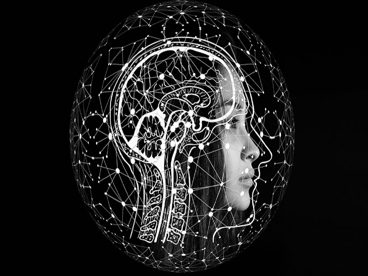 Study reveals how brain distinguishes speech from noise