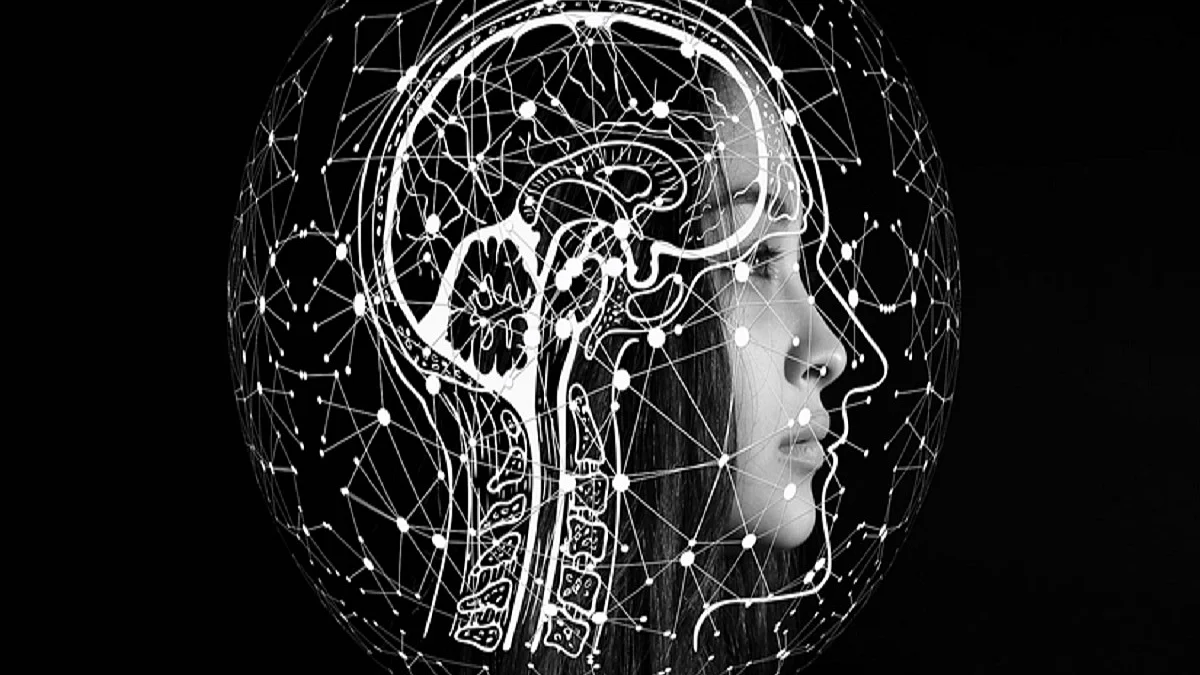 Study reveals how brain distinguishes speech from noise
