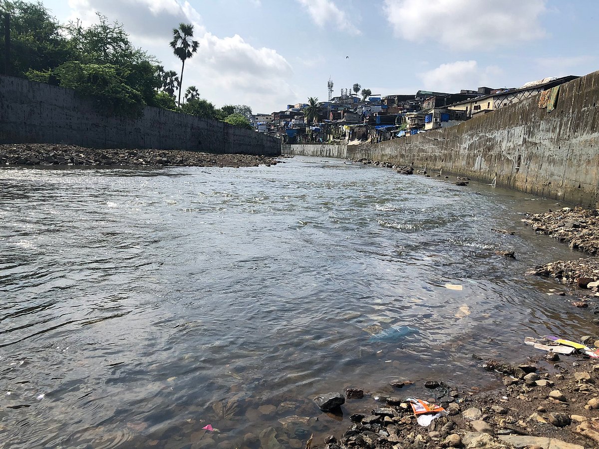 Not a single rupee from Centre for Mithi River clean-up: RTI  