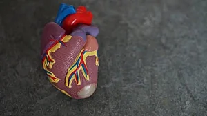 How treatment of cardiovascular disease has evolved