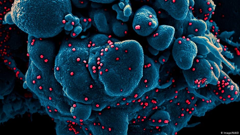 India reports 6915 new Covid infections; active cases below 1 lakh after 2 months