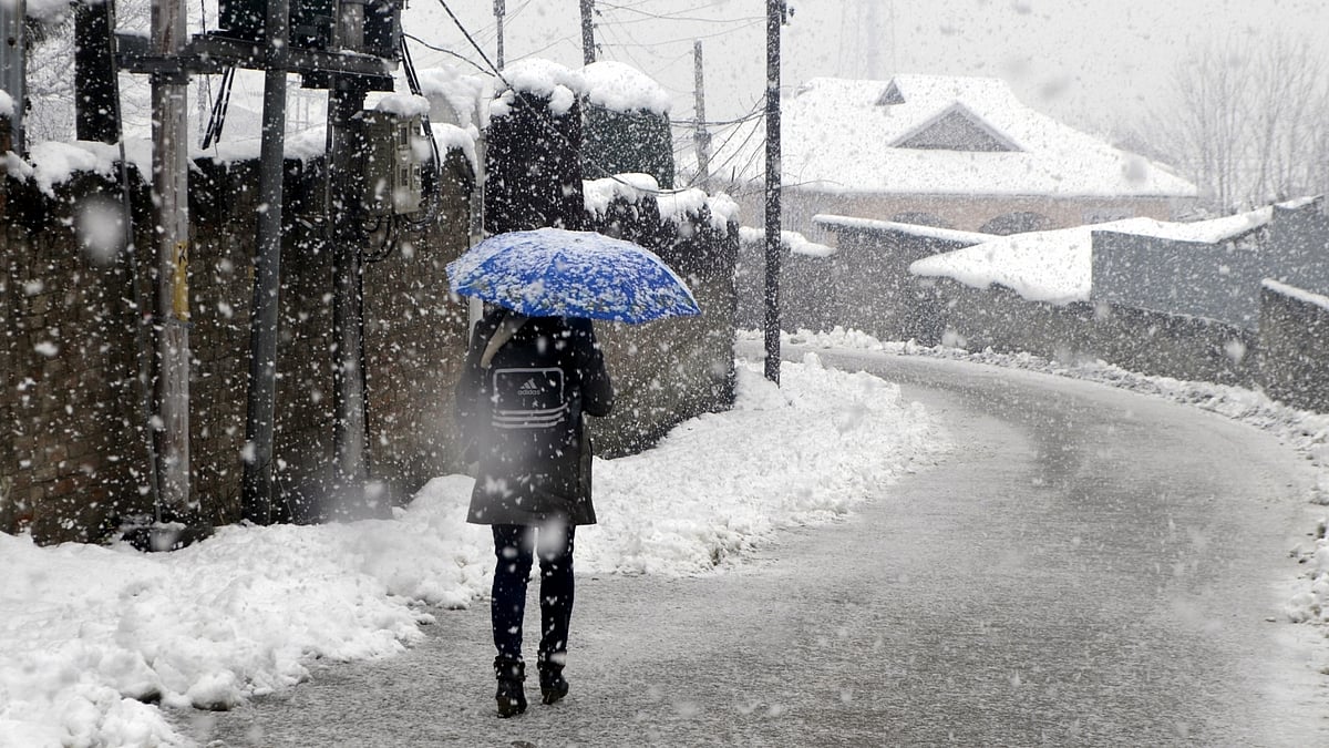 Leh freezes at minus 11.9, Gulmarg shivers at minus 5.2