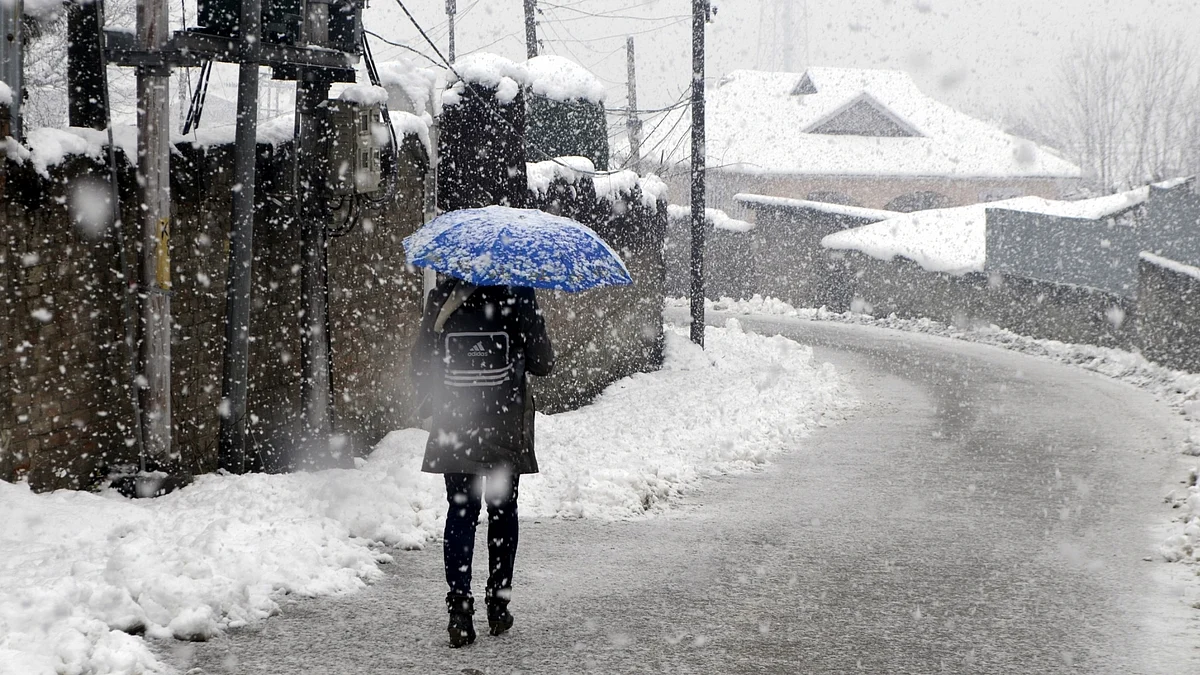 Leh freezes at minus 11.9, Gulmarg shivers at minus 5.2