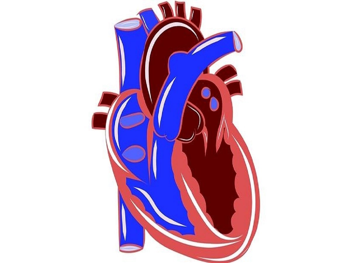 Avoid ‘holiday heart syndrome’ on Christmas