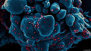 New Covid variant, C.1.2, may be more infectious, evade vaccine protection: Study