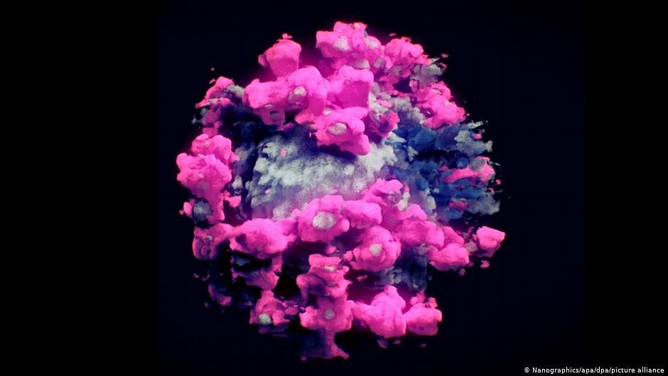 Researchers take first photo of coronavirus