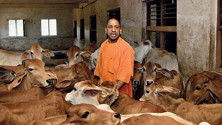 UP CM Adityanath Yogi