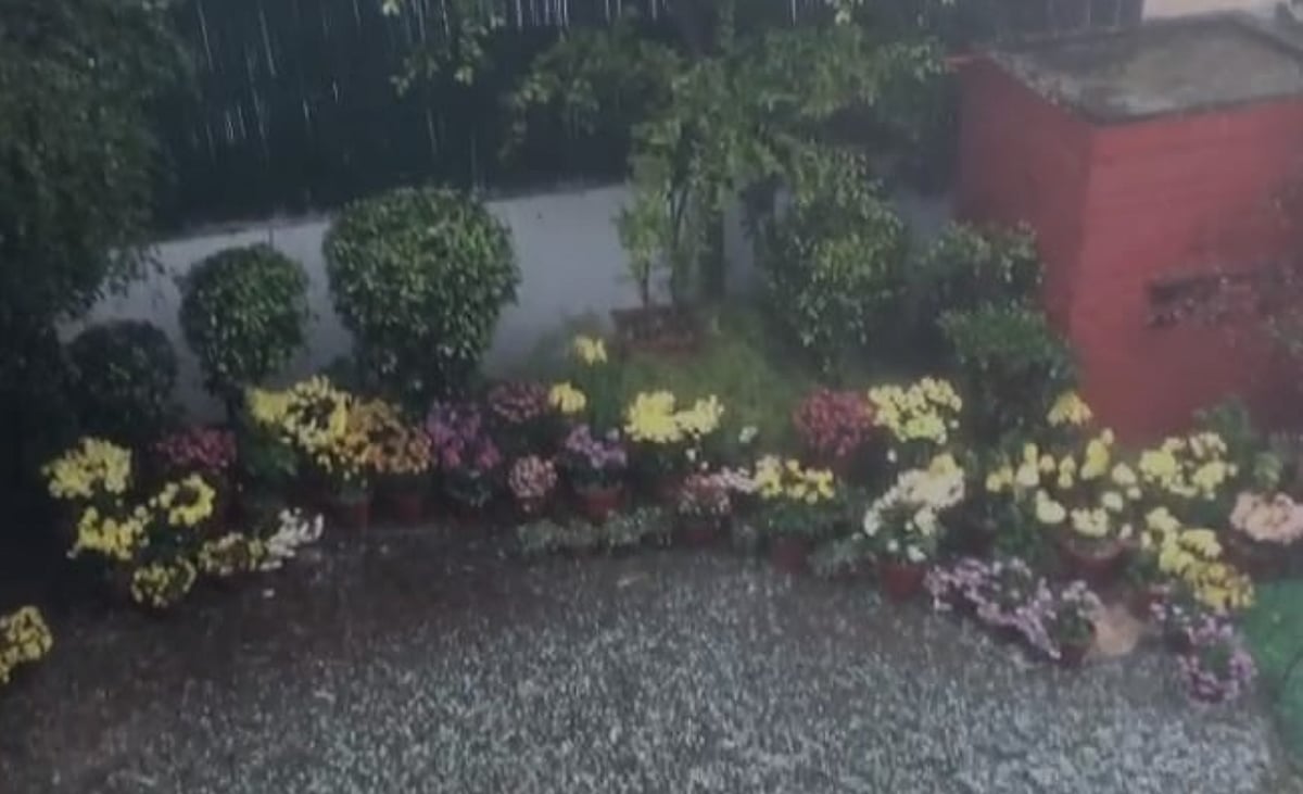 Rain, hailstorm lash parts of Delhi